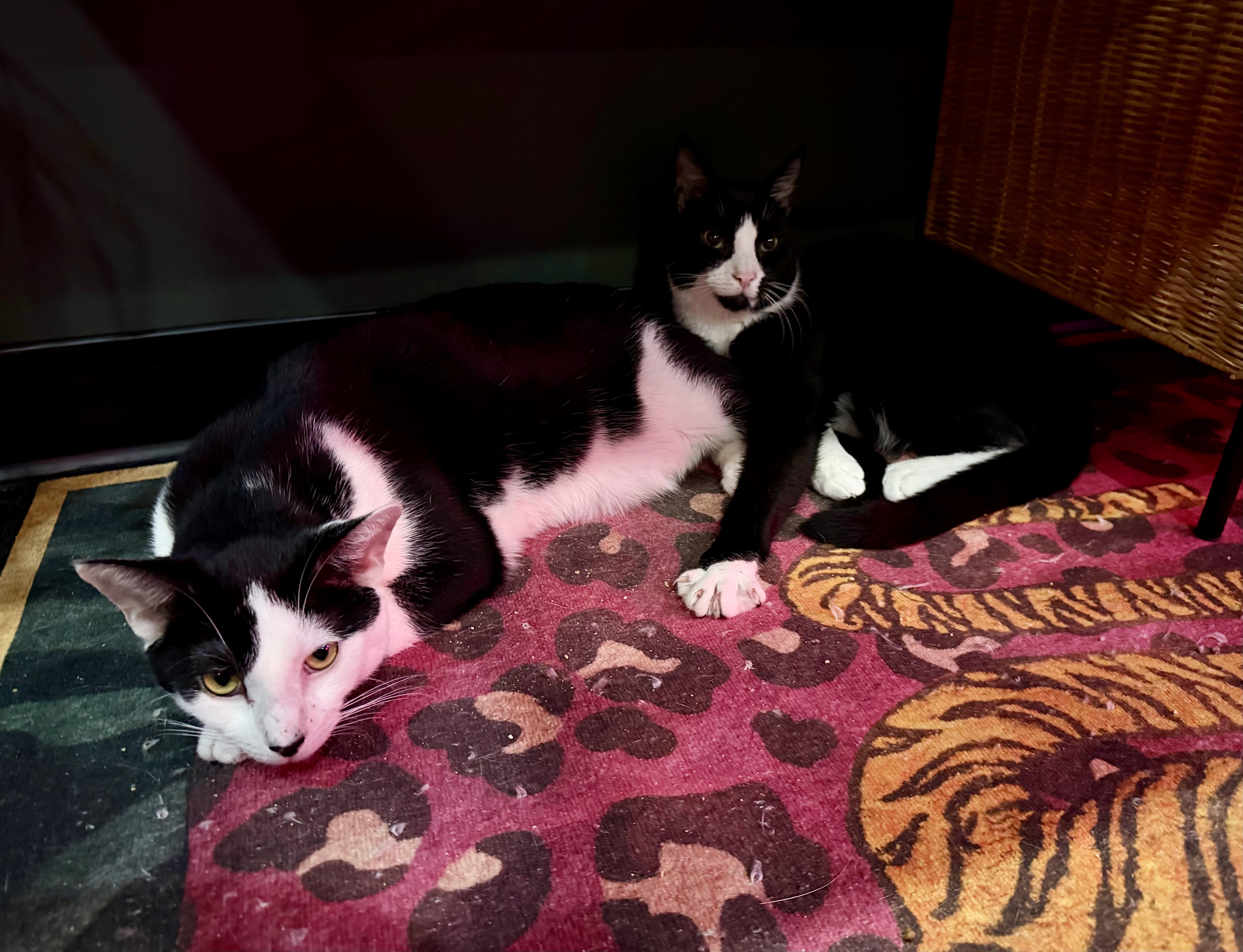 Michael & Sammy thumbnail 5