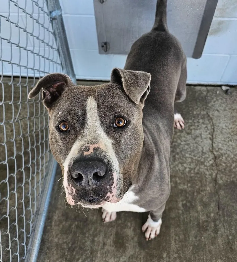 Freckles + thumbnail 2