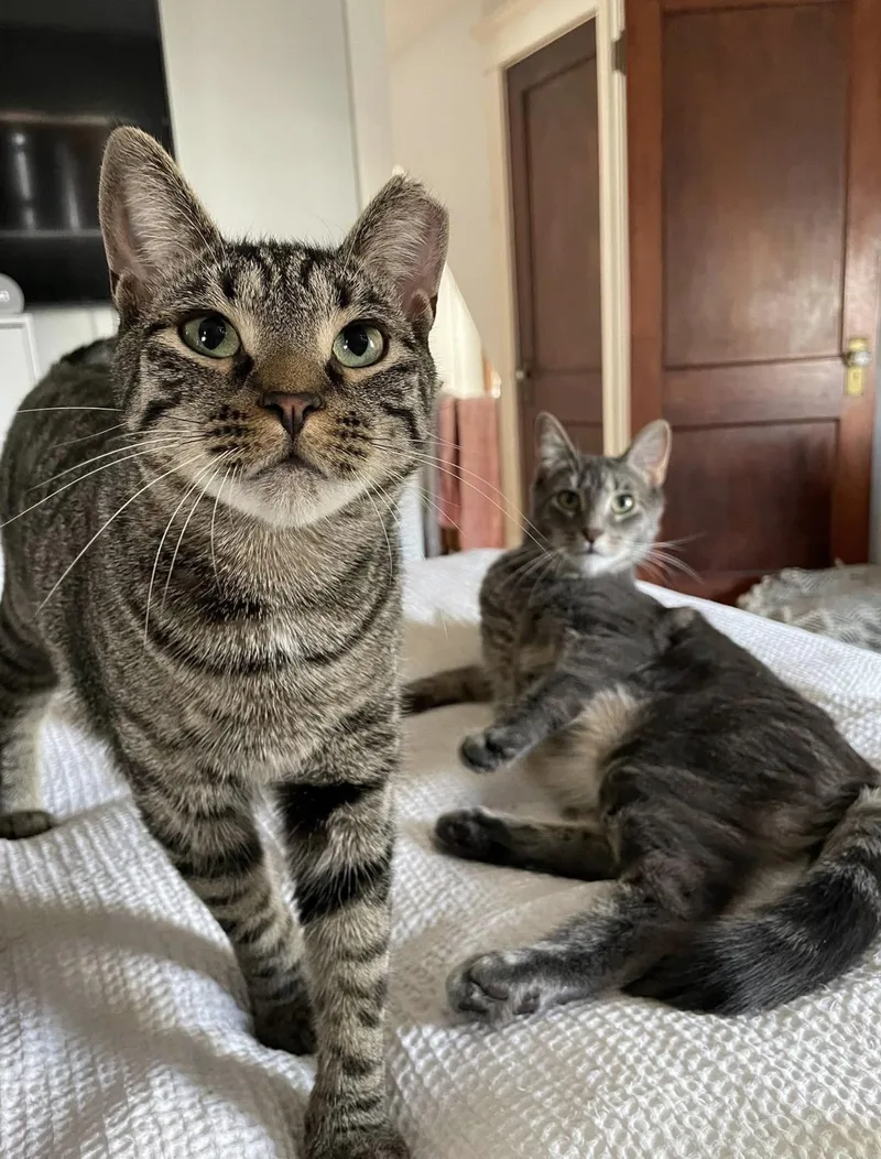Bonded Brothers Mitch And thumbnail 3