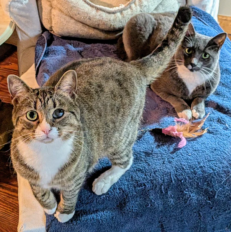Abby & Jasper thumbnail 2