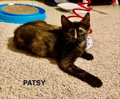 Patsy thumbnail 3