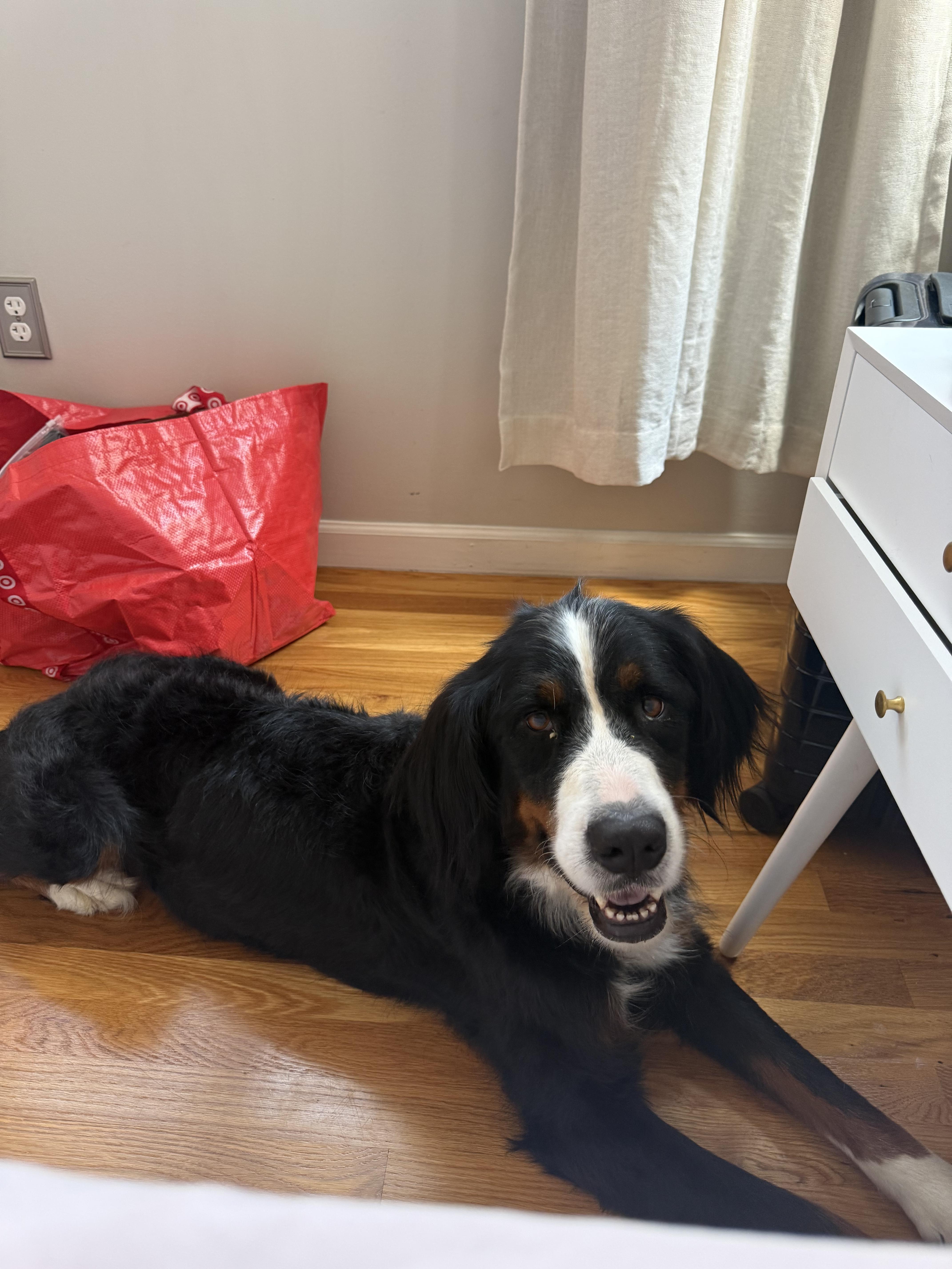 Ally thumbnail 2