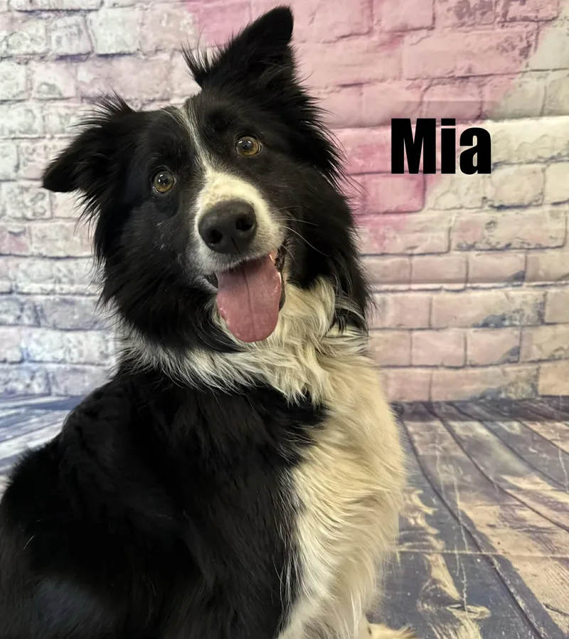 Mia