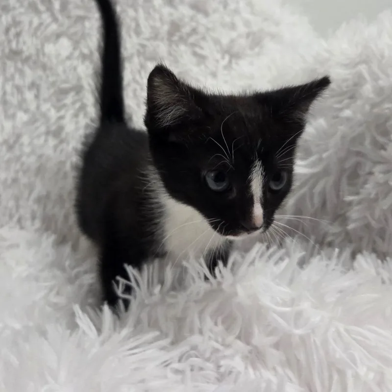 Exclamation thumbnail 2