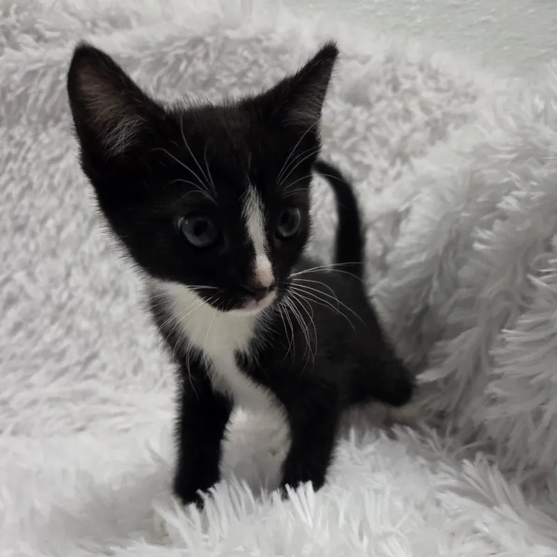 Exclamation thumbnail 5