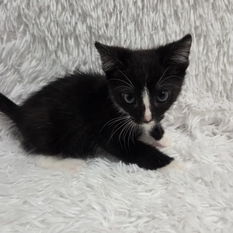 Exclamation thumbnail 6