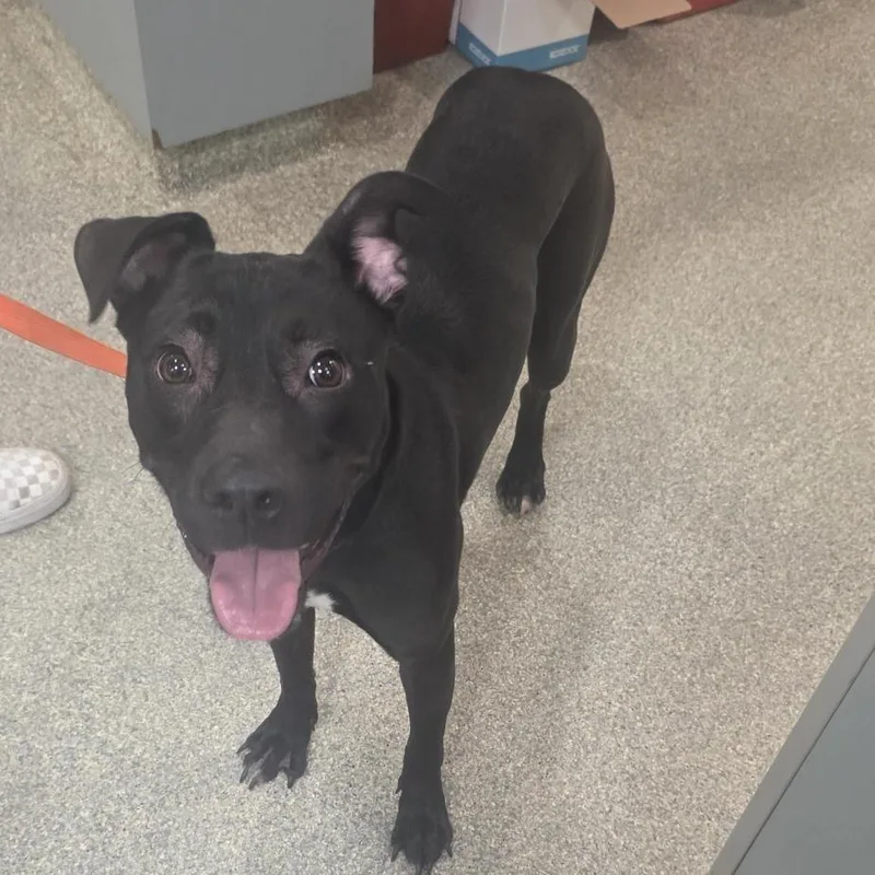 Courtney Love thumbnail 2