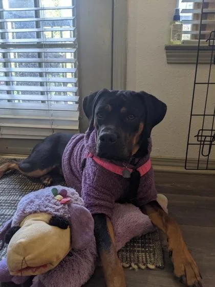 Dolly Parton thumbnail 2