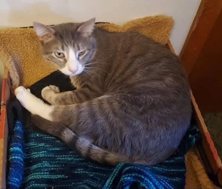 Starbucks thumbnail 2