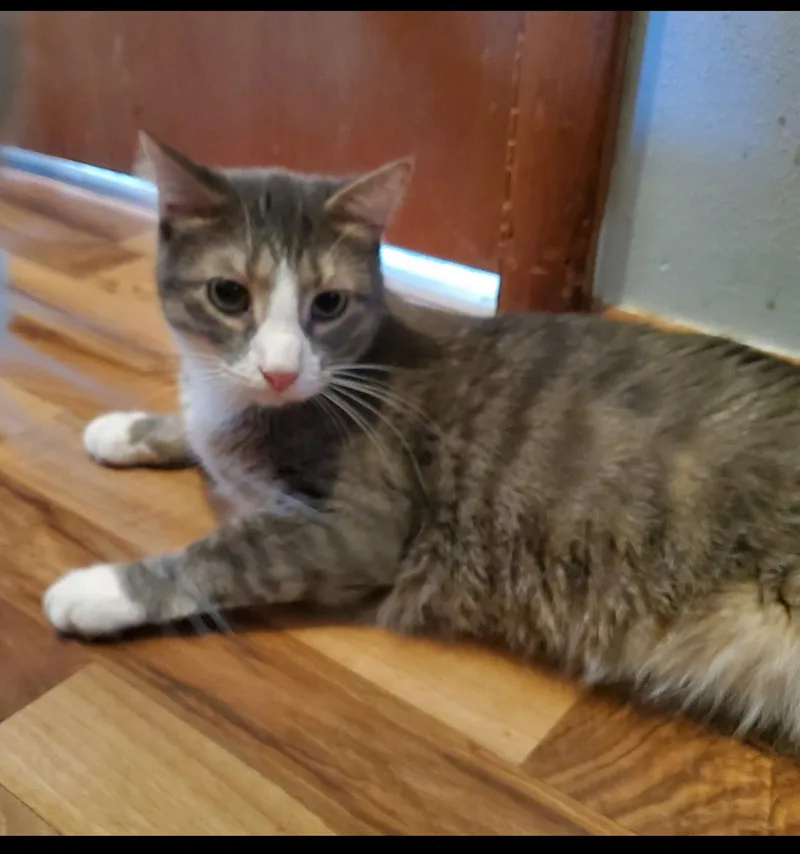 Starbucks thumbnail 3