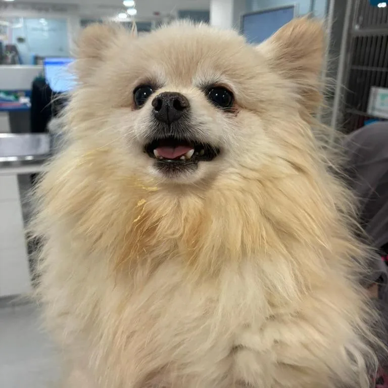 Chloe