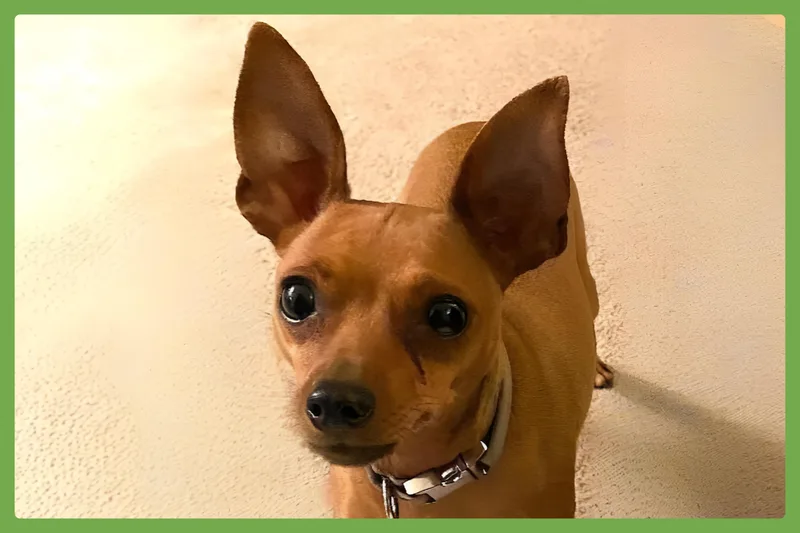 Bree thumbnail 3