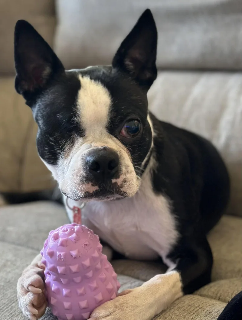 Jake thumbnail 2