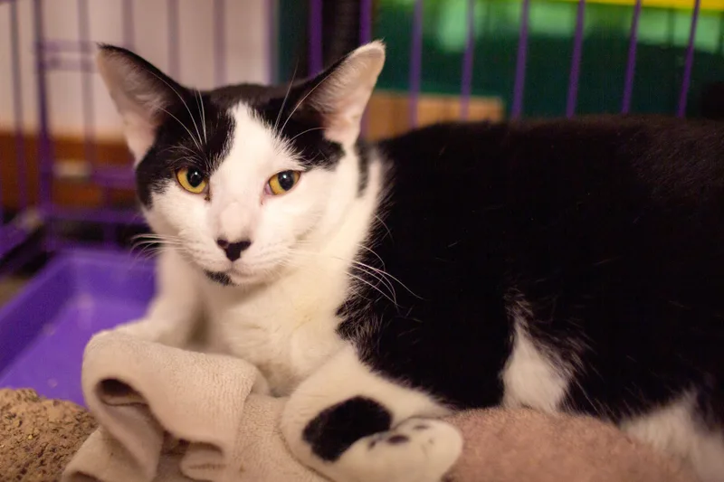 Micahel Bonded To Sammy thumbnail 3