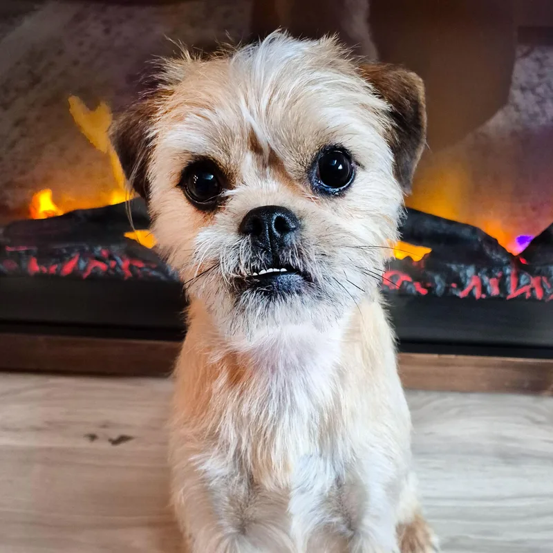 Flora Lynn thumbnail 2