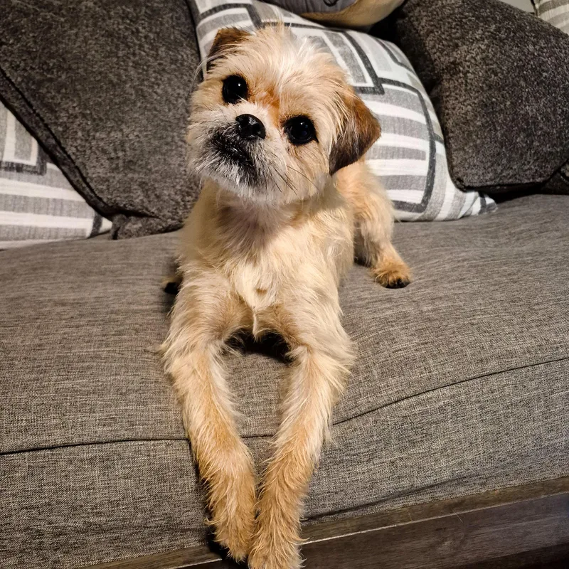 Flora Lynn thumbnail 3