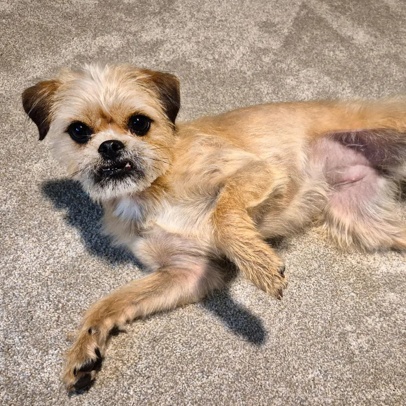 Flora Lynn thumbnail 4