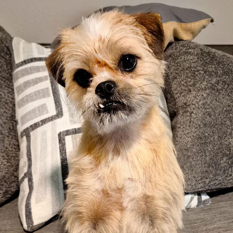 Flora Lynn thumbnail 5