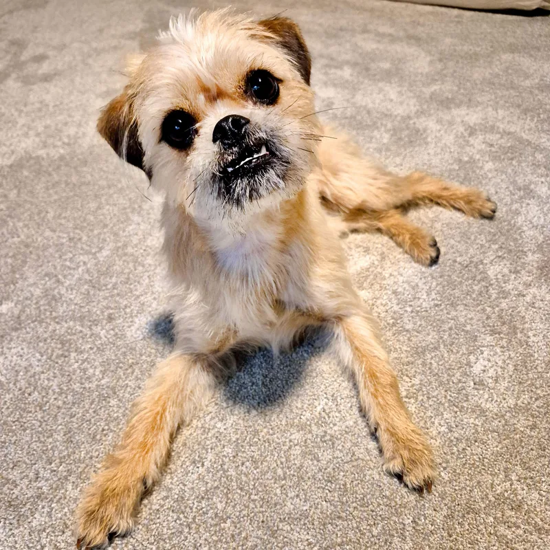 Flora Lynn thumbnail 6