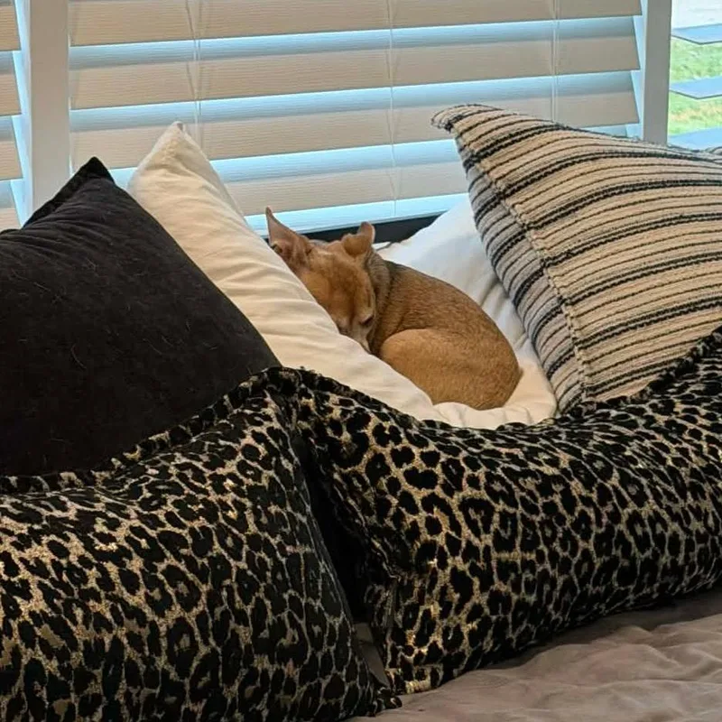 Candy D Arriving thumbnail 2