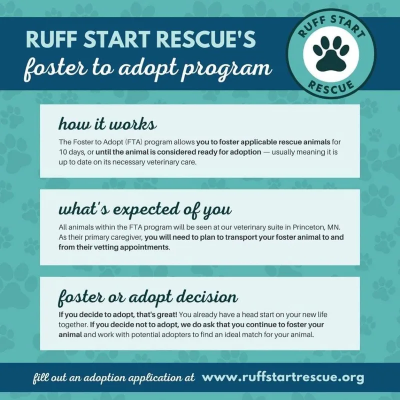 Candy D Arriving thumbnail 3