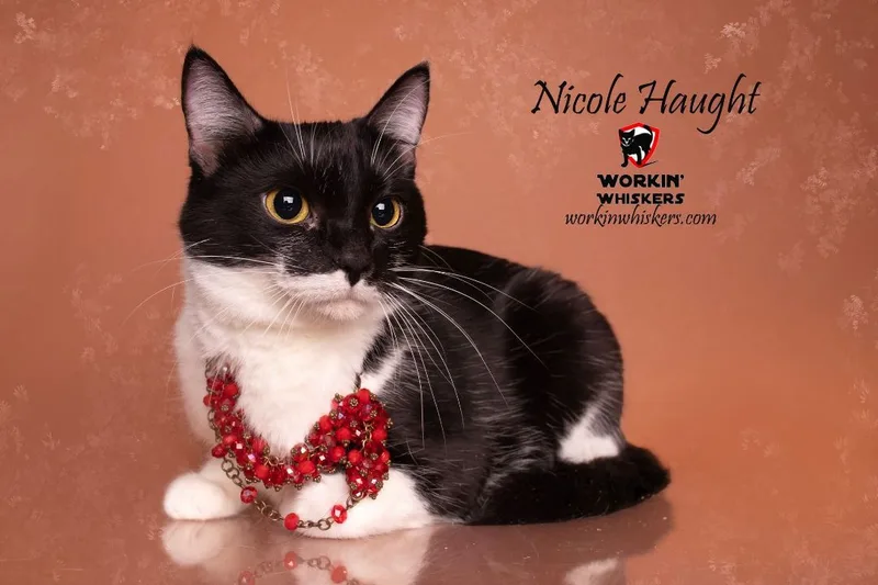Nicole Haught thumbnail 4