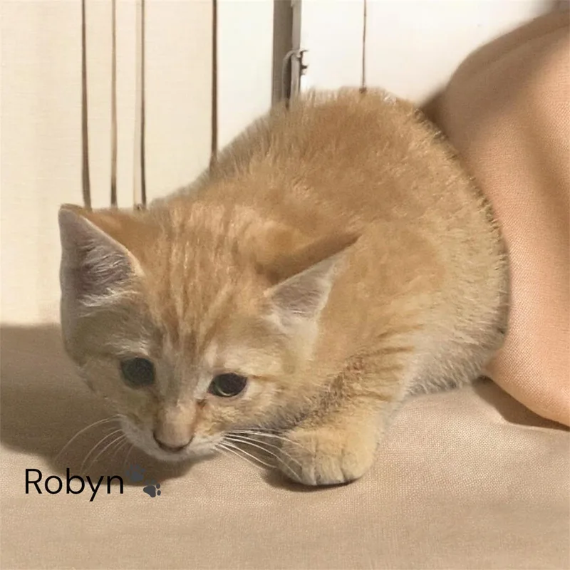 Robyn & Jordy thumbnail 2