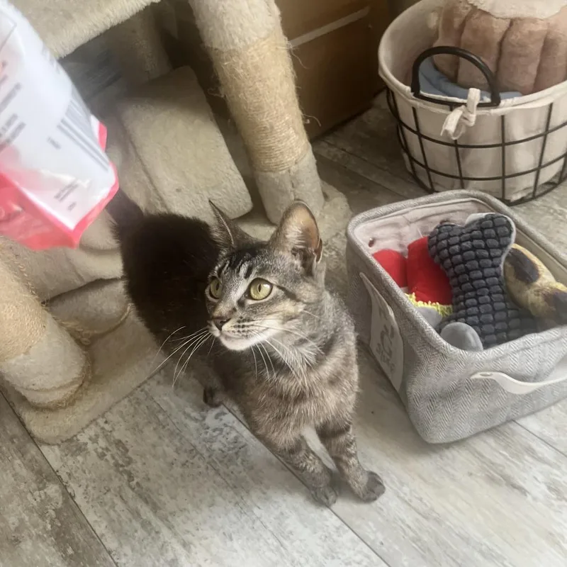 Isabella thumbnail 2