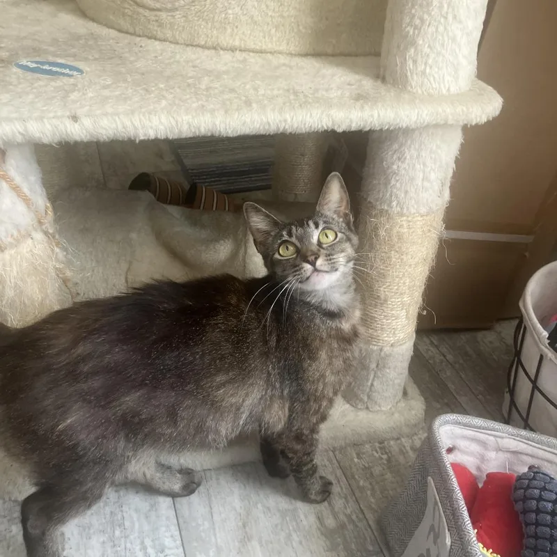 Isabella thumbnail 5