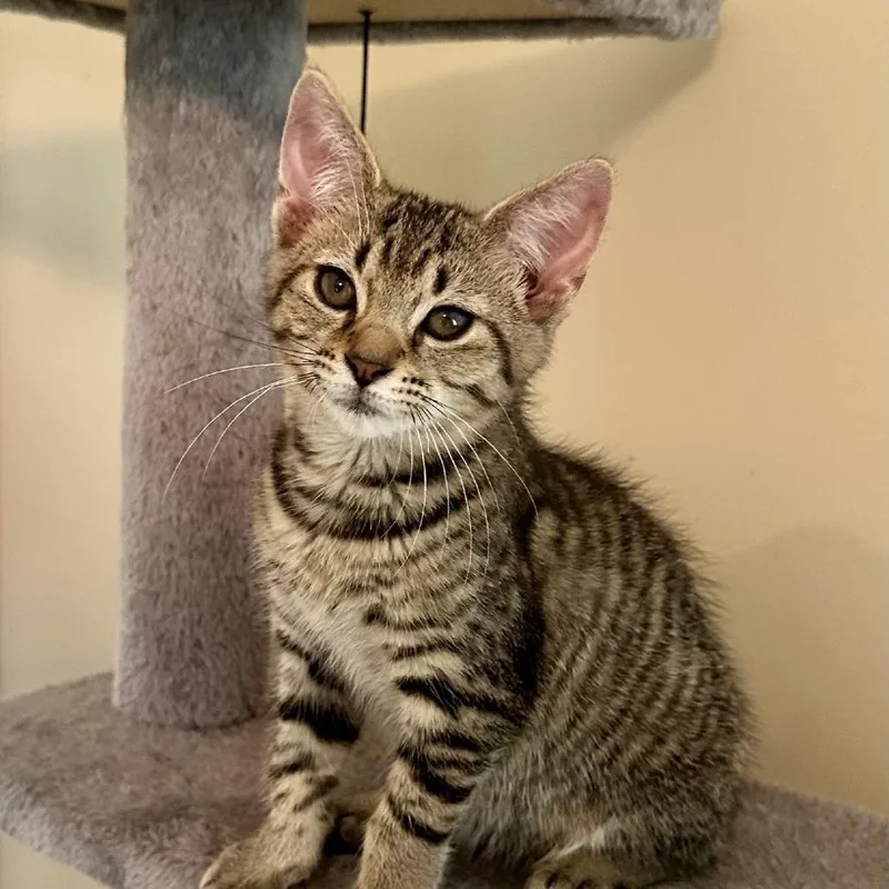Christian thumbnail 5