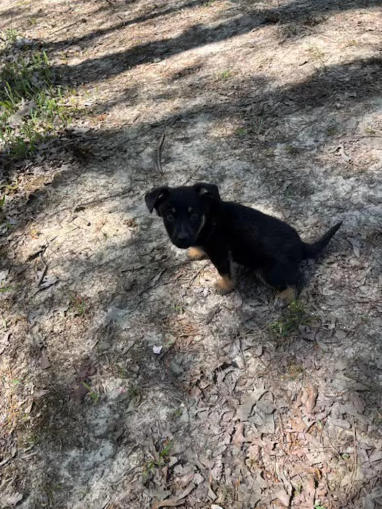 Hot Sands thumbnail 3