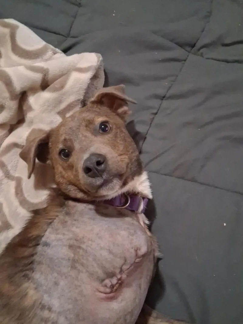 Peggy Sue thumbnail 6