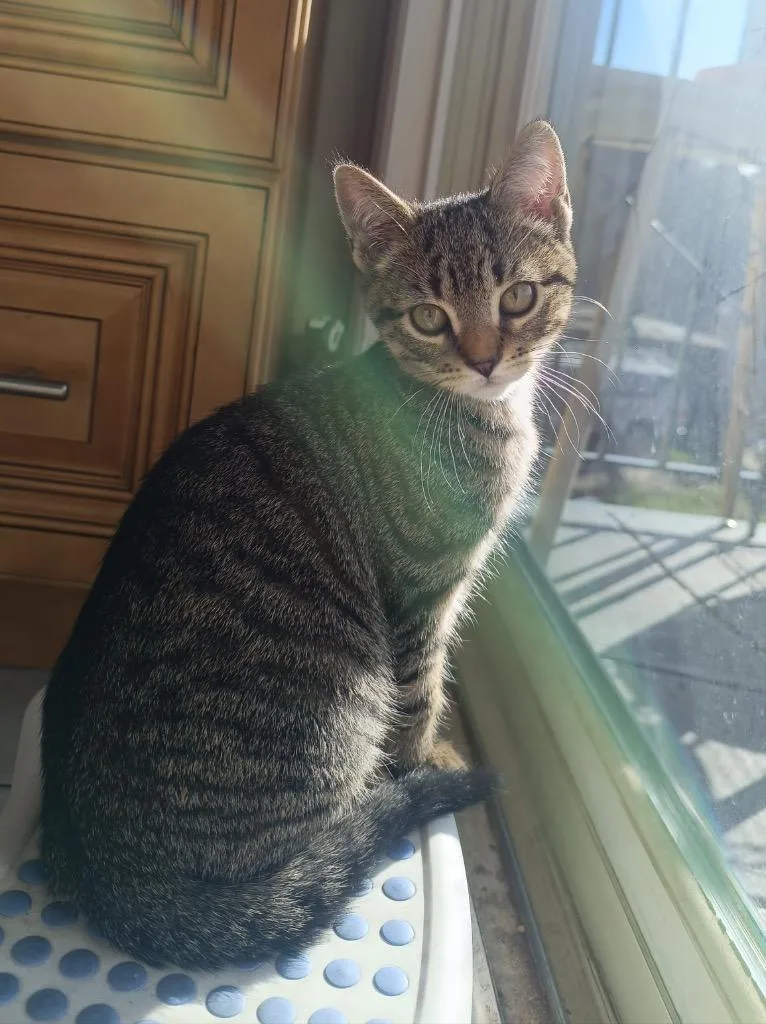 Corey And Murphy thumbnail 4