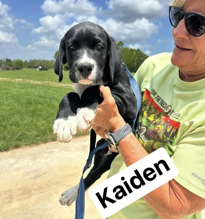 Kaiden thumbnail 4