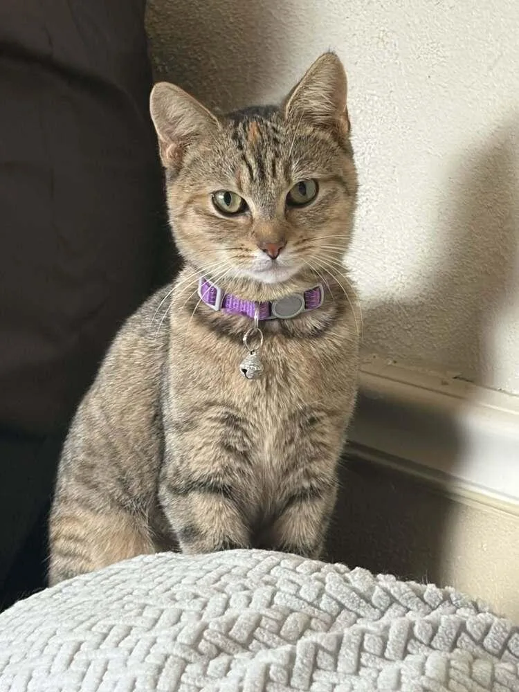 Jeanette thumbnail 2