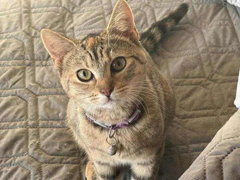 Jeanette thumbnail 3