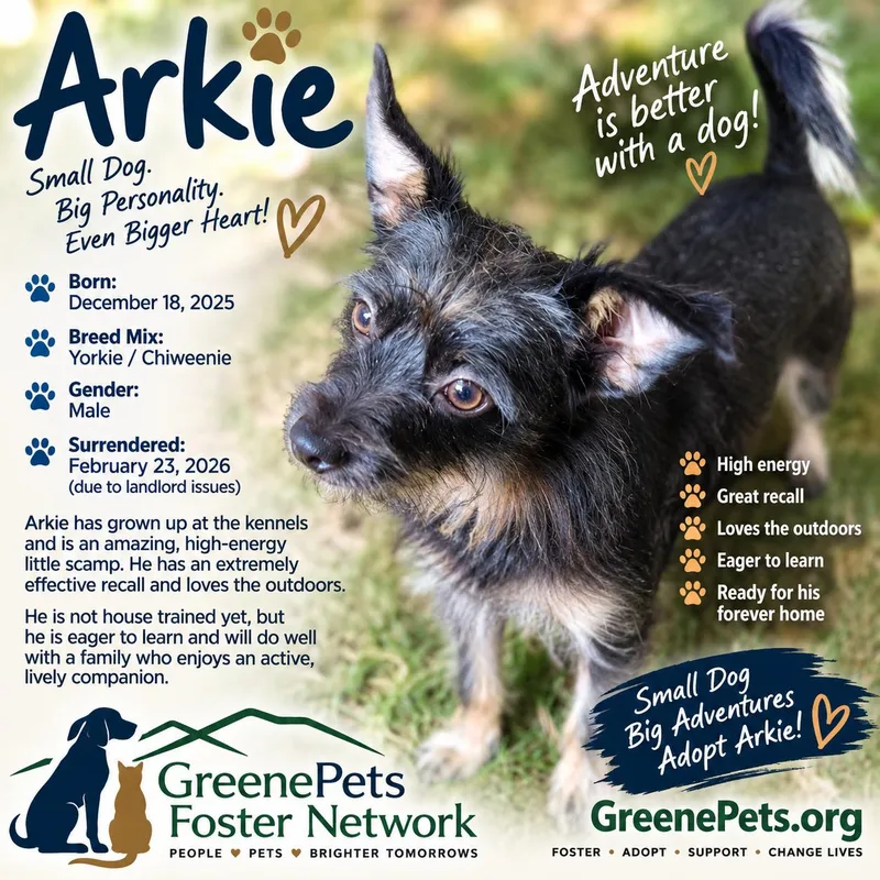 Arkie
