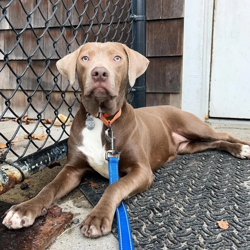 Sapphire thumbnail 2