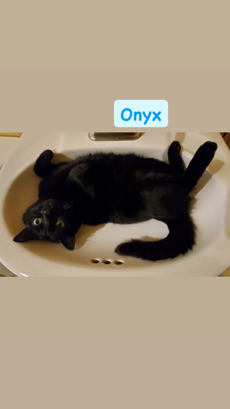 Onyx