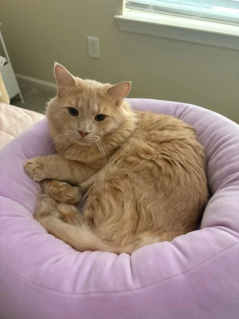 Ferris Beuller thumbnail 2