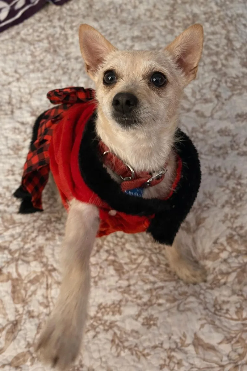 Mama Star thumbnail 5