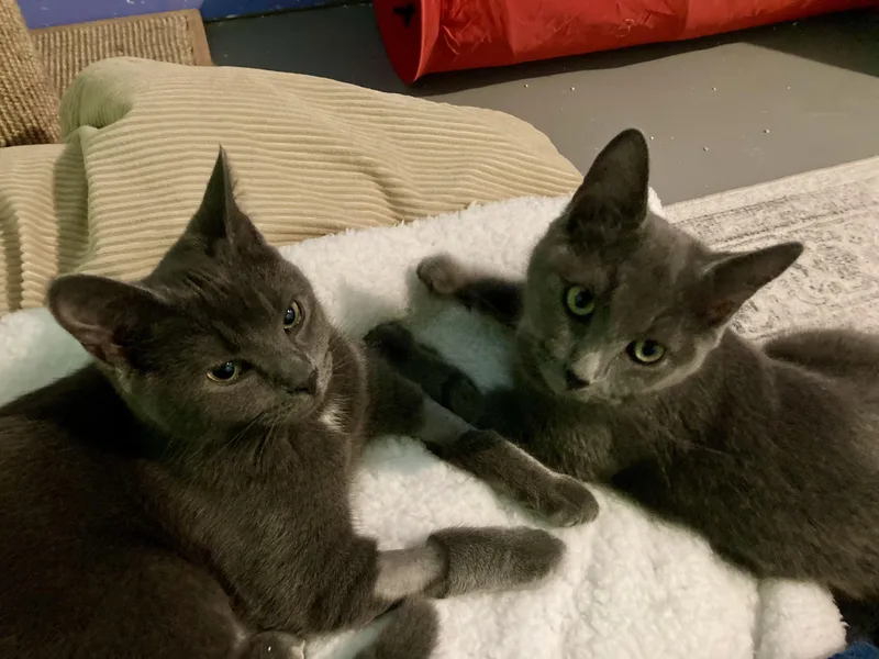 Louisa And Brigitta thumbnail 2