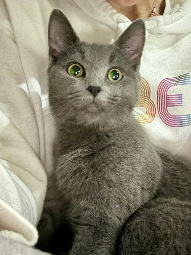 Louisa And Brigitta thumbnail 4