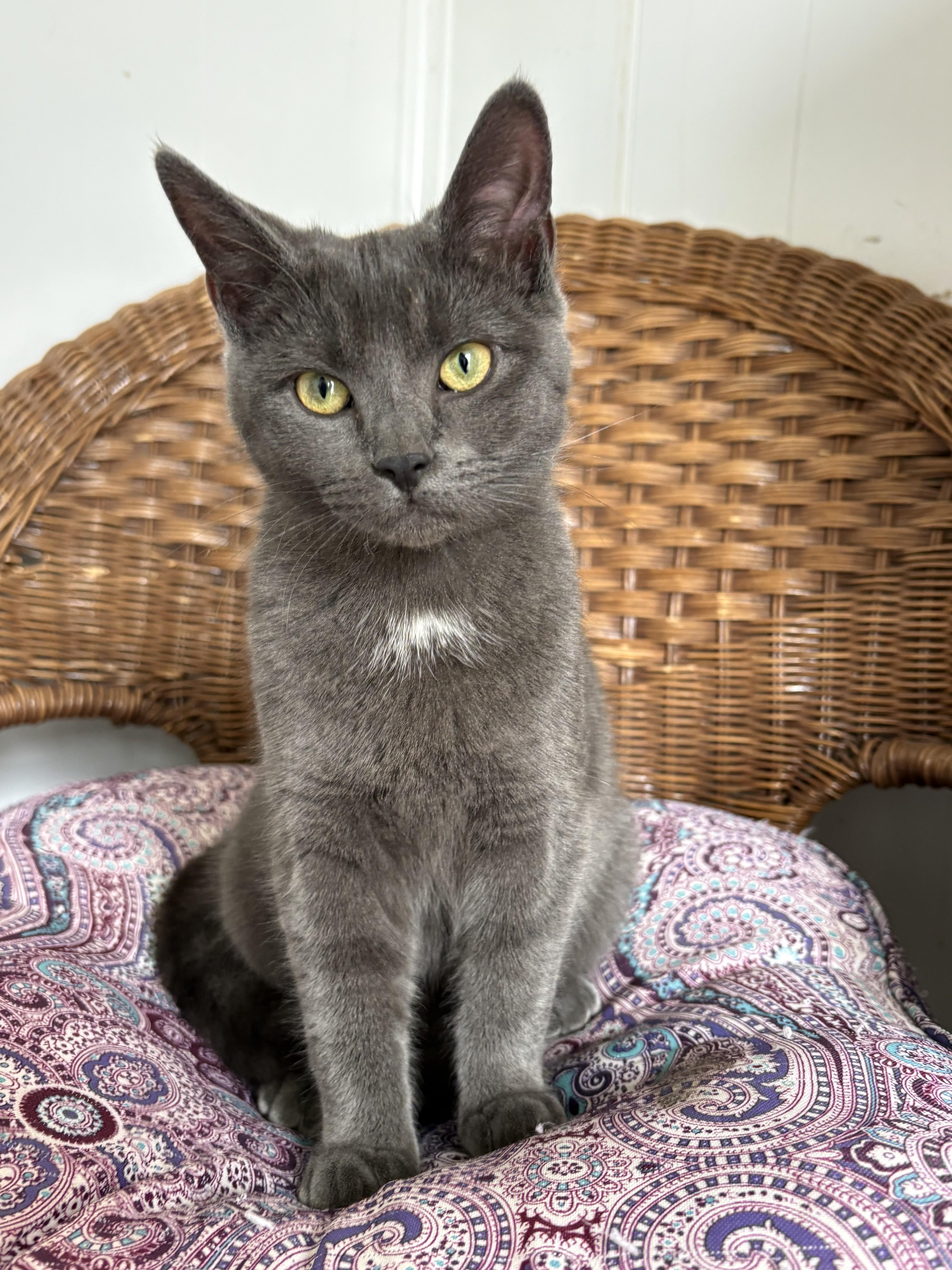 Louisa And Brigitta thumbnail 5