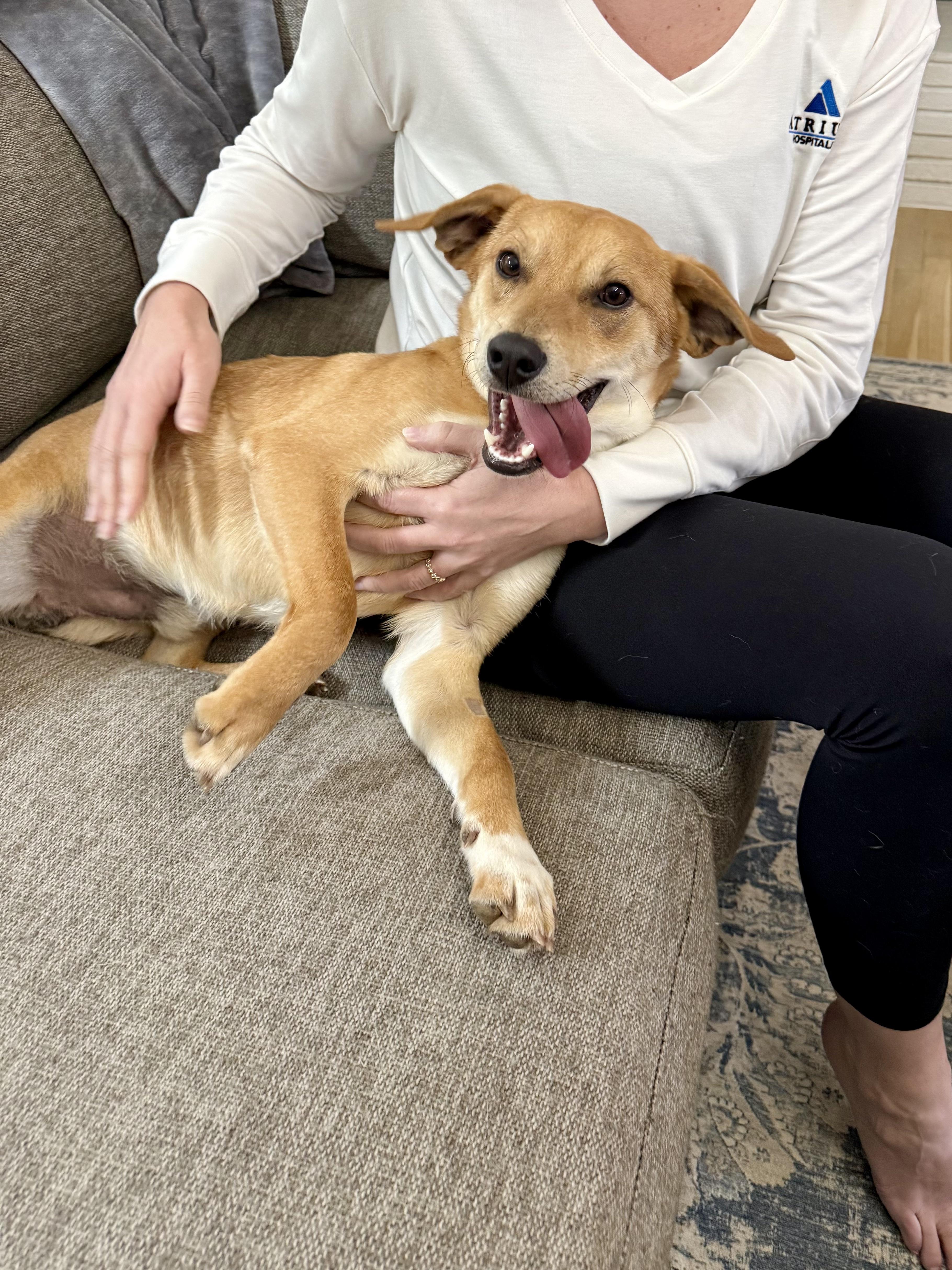 Cornflake thumbnail 2