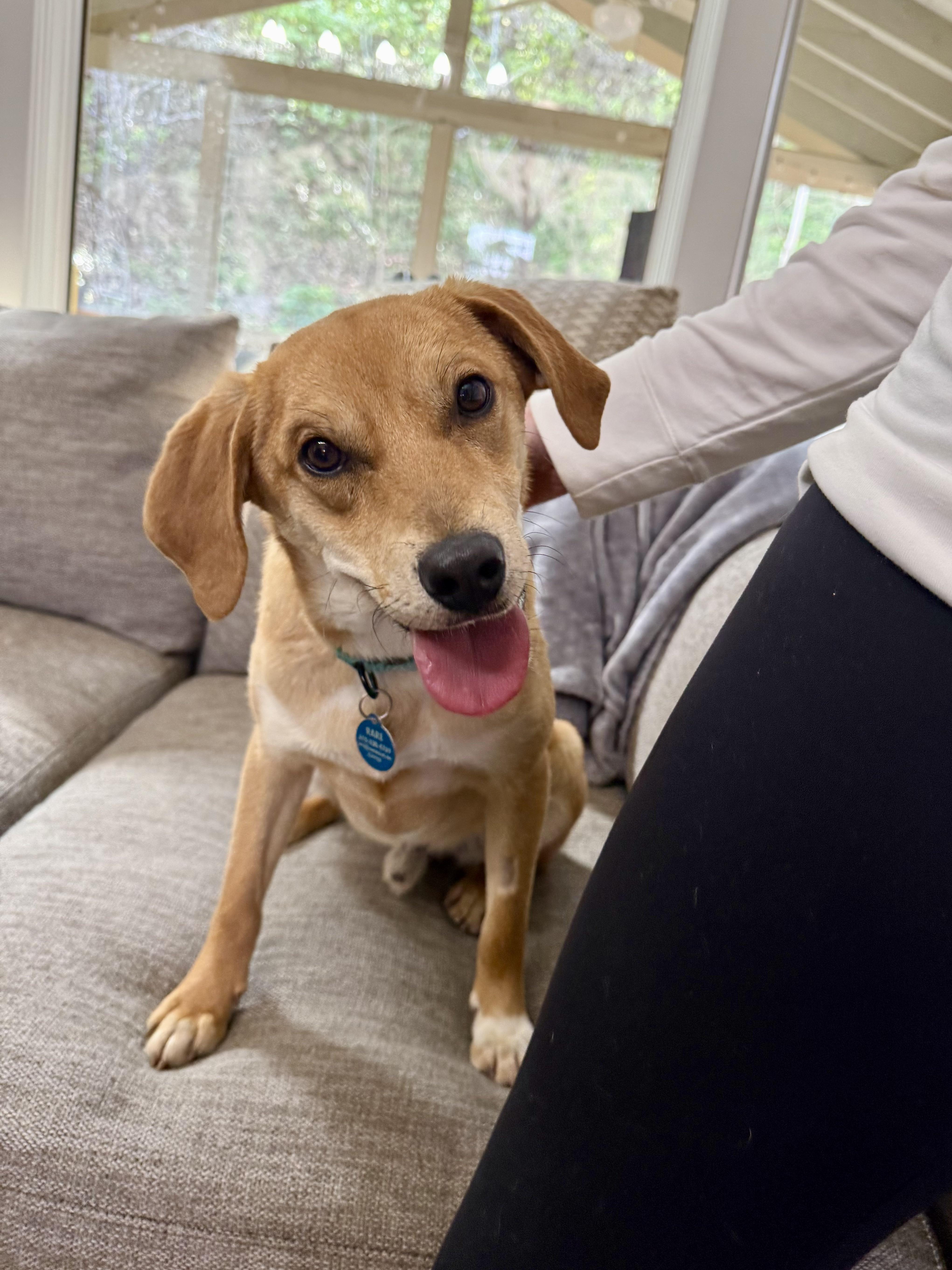 Cornflake thumbnail 3