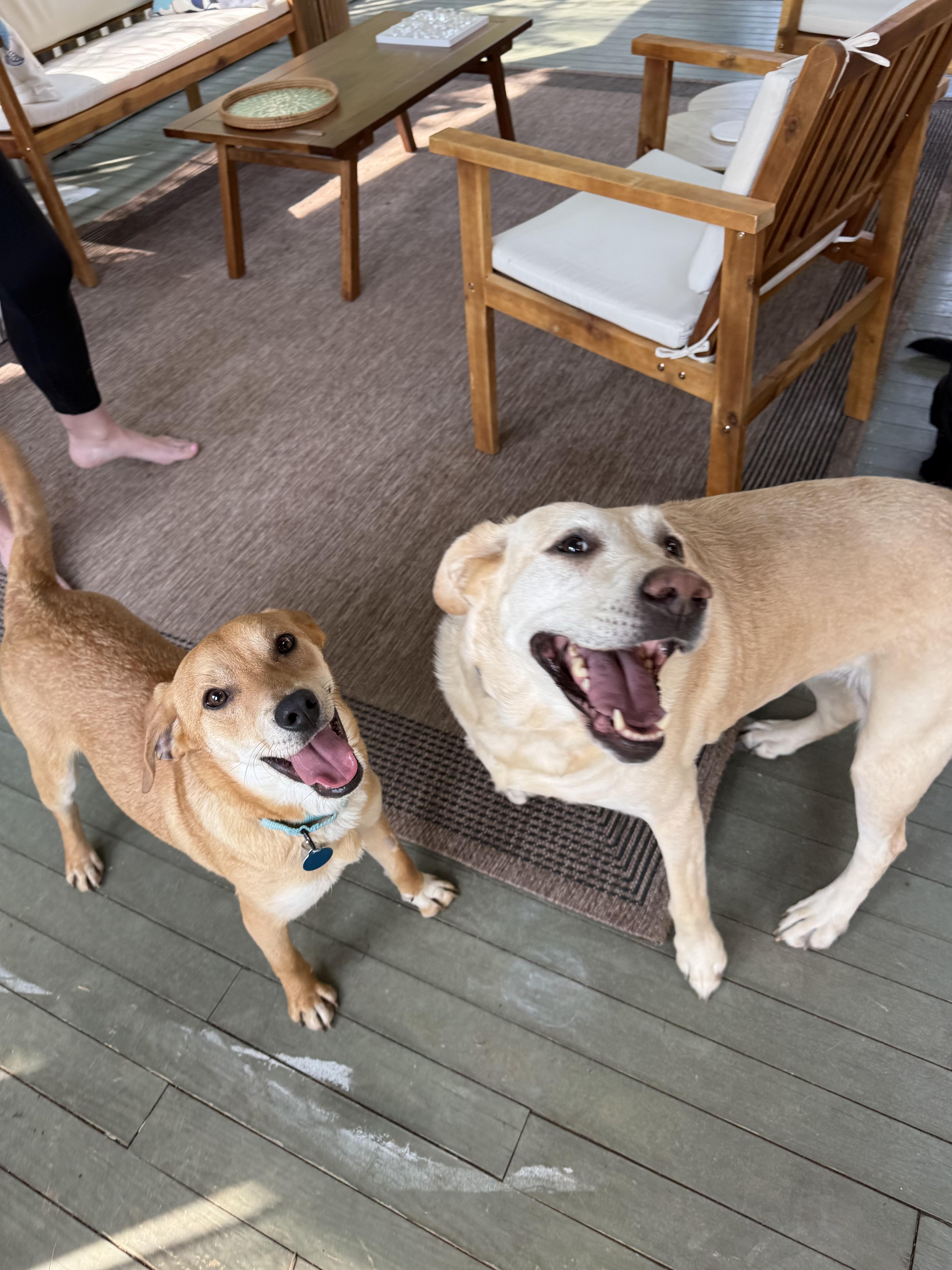 Cornflake thumbnail 4