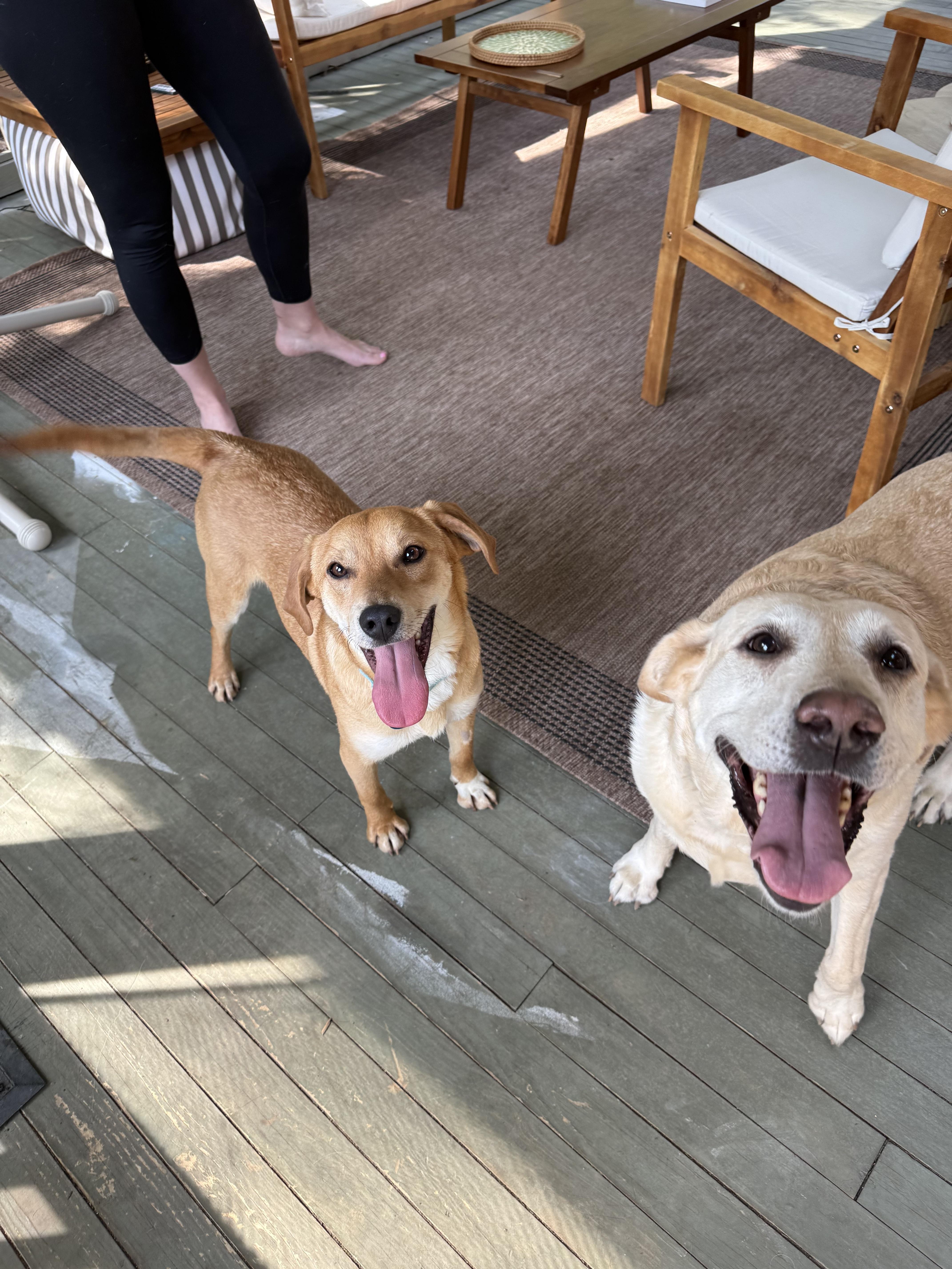 Cornflake thumbnail 5