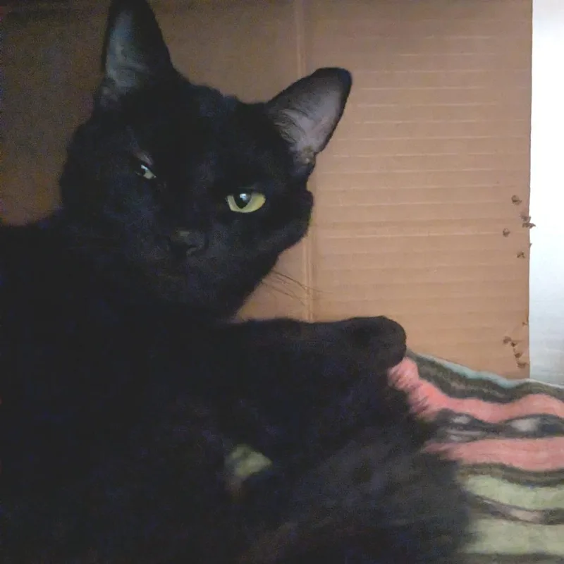 Fiona thumbnail 2
