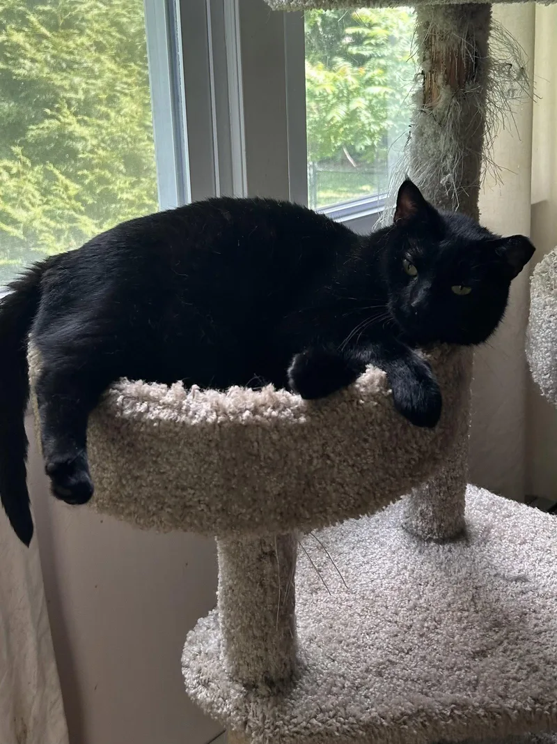 Ruggles